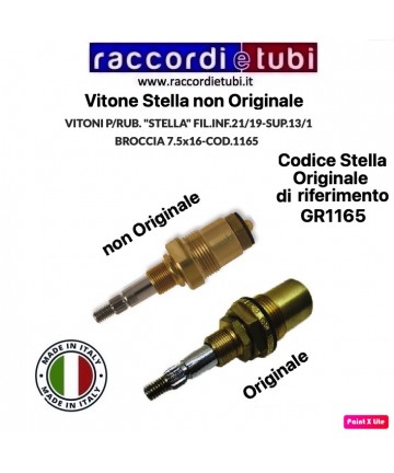 VITONE STELLA NICHT...