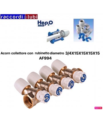 COLLETTORE ACORN CON...