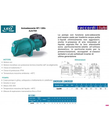 Selbstansaugende Pumpe Leo...