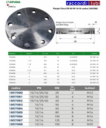 FLANGIA CIECA D. 80 PN...