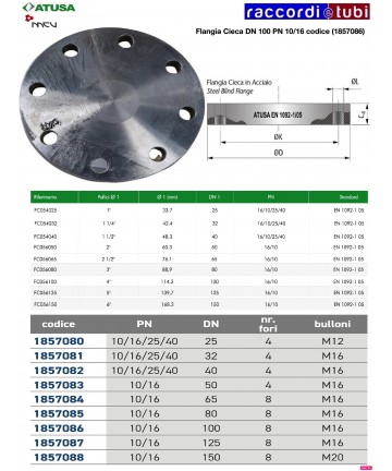 FLANGIA CIECA D.100 PN...