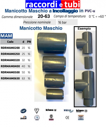 MANICOTTO Maschio Maschio...