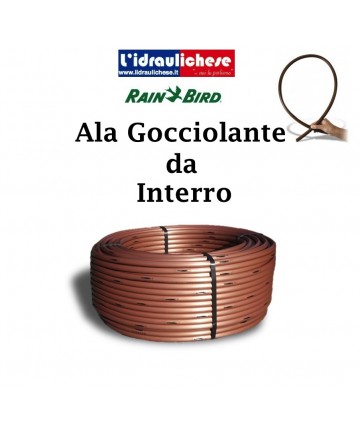 RINNEN-REGNER Rain Bird...