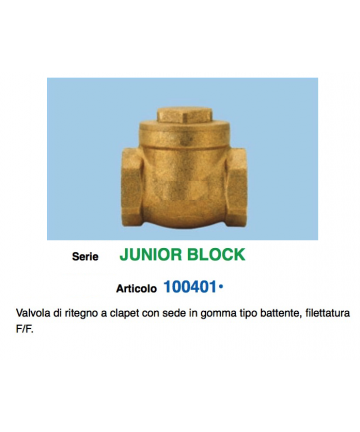 RÜCKSCHLAGVENTIL D.3/4''...