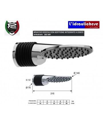 DUSCHKOPF MIT ARM REMER 350MR