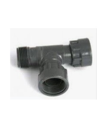 TE MIT RING MIT WEIBLICHEM...