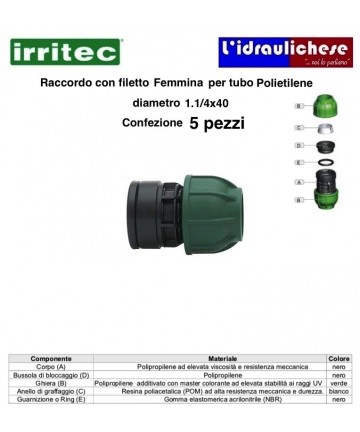 FRAUENVERBINDUNG MIT...