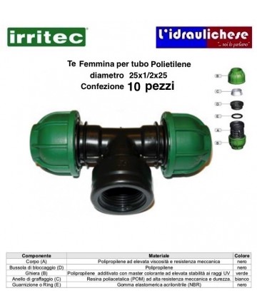 WEIBLICHE VERBINDUNG...