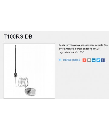 TESTA HONEYWELL BULBO...