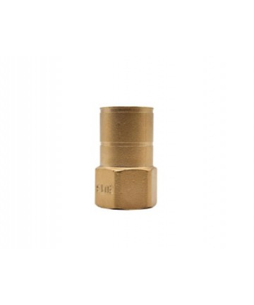 WEIBLICHE E-DRUCKVERBINDUNG...