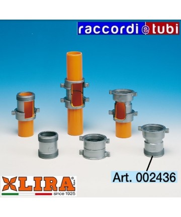 MÄNNLICHE LIRA-VERBINDUNG...