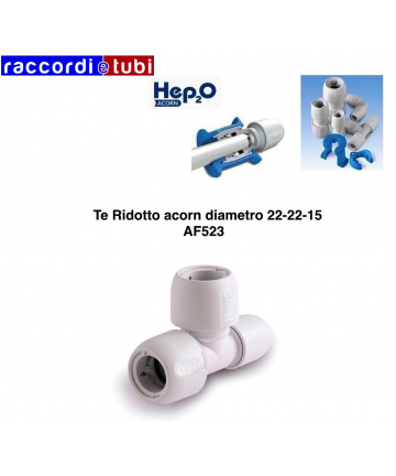 TE ACORN REDUZIERT...