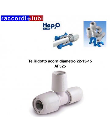 TE ACORN REDUZIERTER...