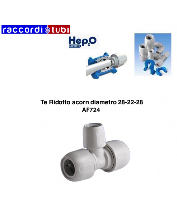 TE ACORN REDUZIERTER...