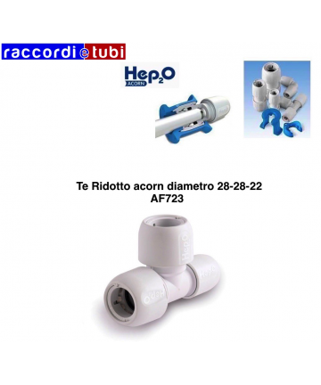 TE ACORN REDUZIERTER...