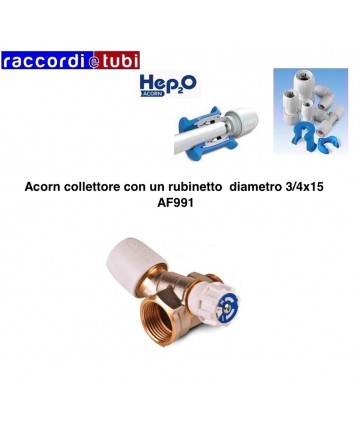 AKTENSAMMLER ACORN MIT HAHN...