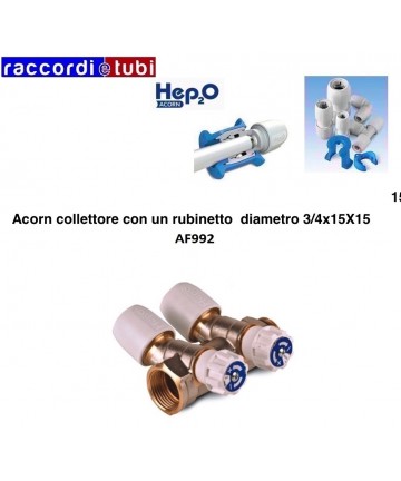 KOLLEKTOR ACORN MIT ZWEI...