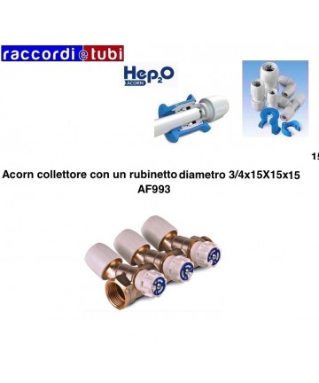 ACORN-SAMMLER MIT DREI...