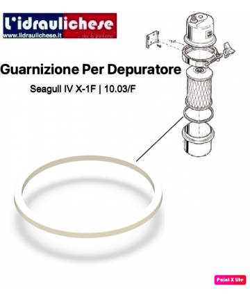 DICHTUNG FÜR SEAGUL 10.03/F...